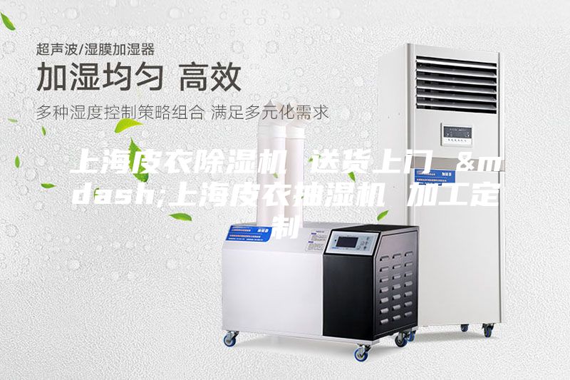 上海皮衣除濕機(jī) 送貨上門 &mdash;上海皮衣抽濕機(jī) 加工定制