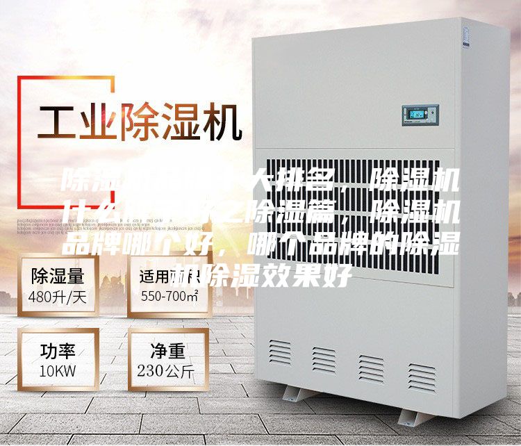 除濕機(jī)品牌十大排名，除濕機(jī)什么牌子好之除濕篇，除濕機(jī)品牌哪個(gè)好，哪個(gè)品牌的除濕機(jī)除濕效果好