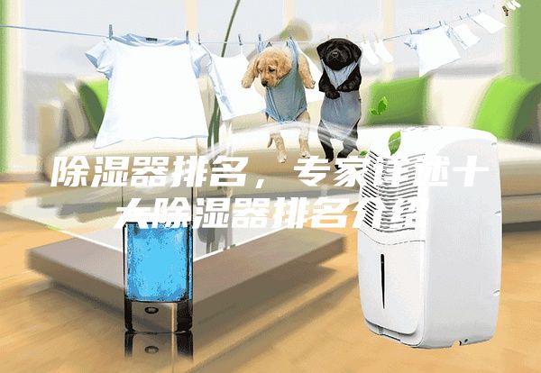 除濕器排名，專家詳述十大除濕器排名介紹
