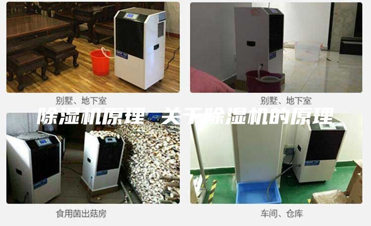 除濕機(jī)原理 關(guān)于除濕機(jī)的原理
