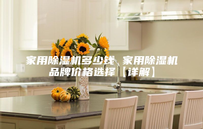 家用除濕機(jī)多少錢 家用除濕機(jī)品牌價(jià)格選擇【詳解】