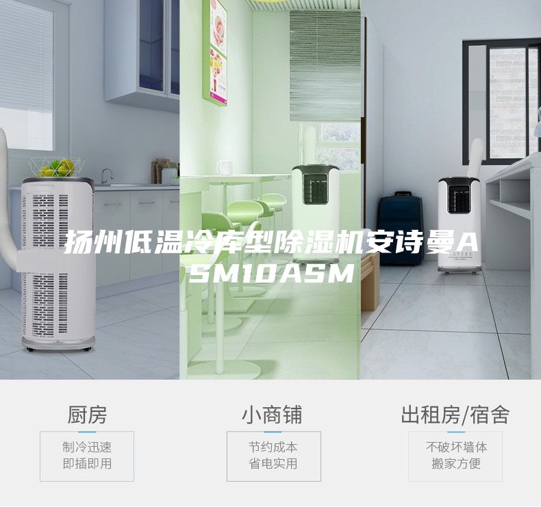 揚(yáng)州低溫冷庫型除濕機(jī)安詩曼ASM10ASM