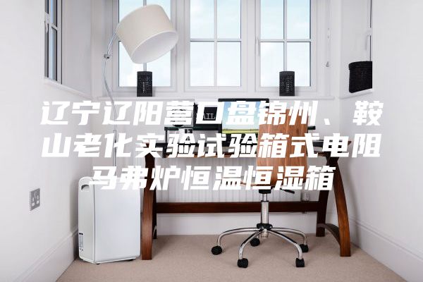 遼寧遼陽營口盤錦州、鞍山老化實驗試驗箱式電阻馬弗爐恒溫恒濕箱