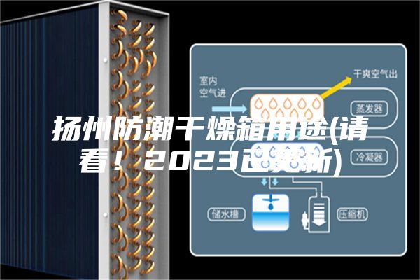 揚(yáng)州防潮干燥箱用途(請(qǐng)看!2023已更新)