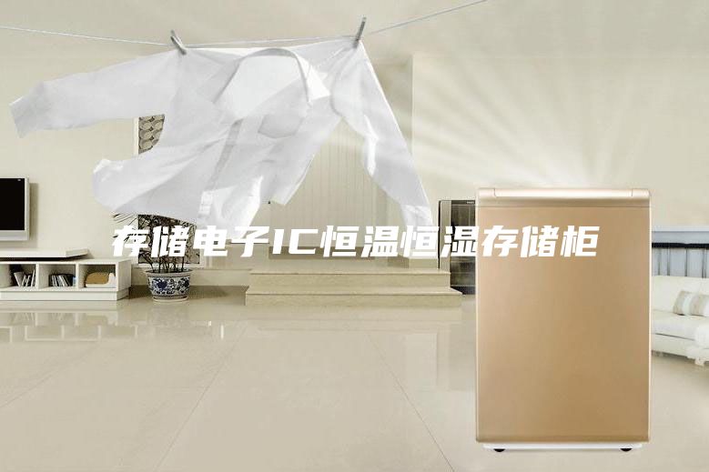 存儲(chǔ)電子IC恒溫恒濕存儲(chǔ)柜
