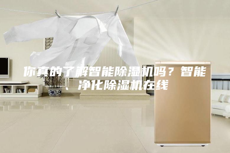 你真的了解智能除濕機嗎？智能、凈化除濕機在線