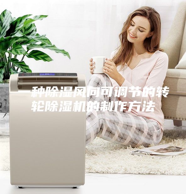 一種除濕風向可調(diào)節(jié)的轉(zhuǎn)輪除濕機的制作方法