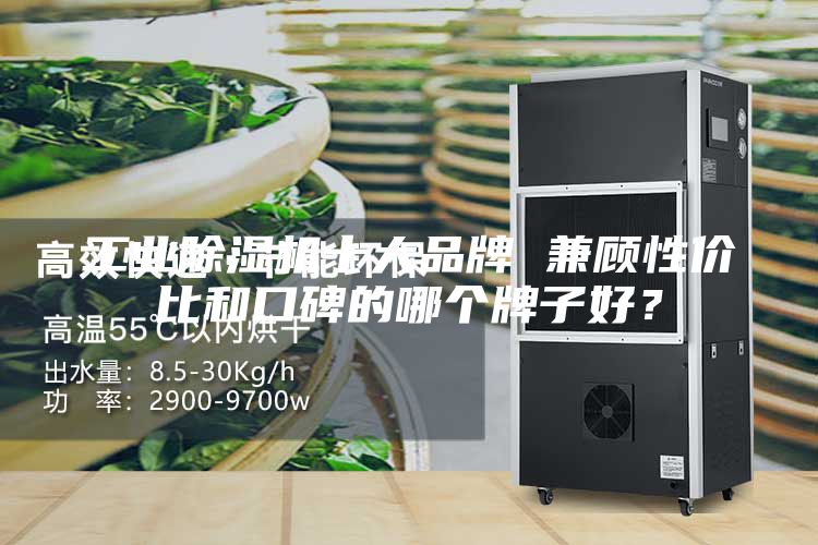 工業(yè)除濕機十大品牌 兼顧性價比和口碑的哪個牌子好？