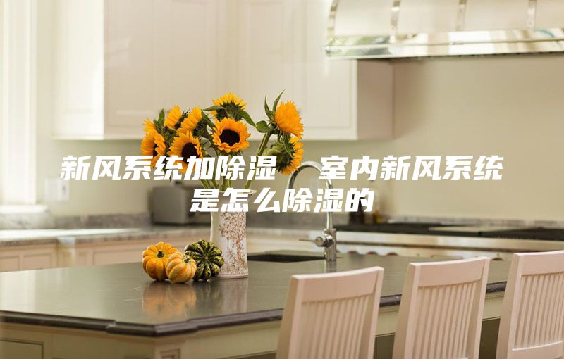 新風系統(tǒng)加除濕 室內(nèi)新風系統(tǒng)是怎么除濕的