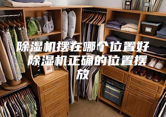 除濕機(jī)擺在哪個位置好 除濕機(jī)正確的位置擺放