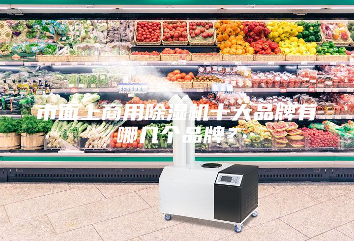 市面上商用除濕機十大品牌有哪幾個品牌？