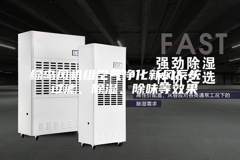 綠島風(fēng)機組空氣凈化新風(fēng)系統(tǒng)  過濾、除濕、除味等效果