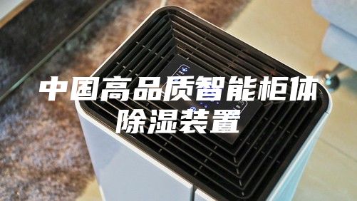 中國高品質智能柜體除濕裝置
