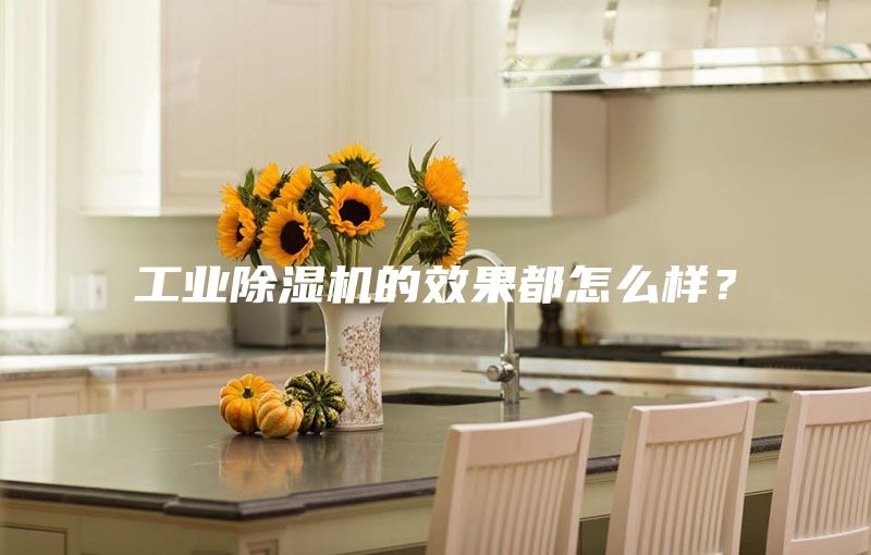 工業除濕機的效果都怎么樣？
