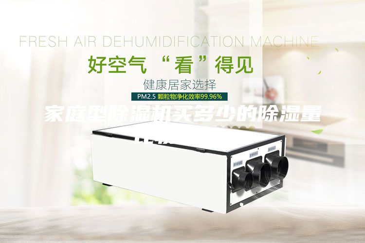 家庭型除濕機(jī)買多少的除濕量比較合適？