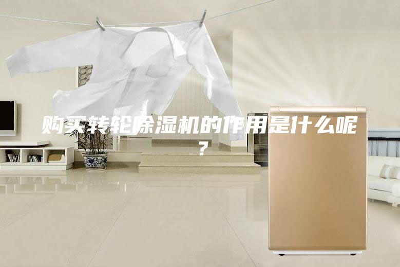 購(gòu)買轉(zhuǎn)輪除濕機(jī)的作用是什么呢？