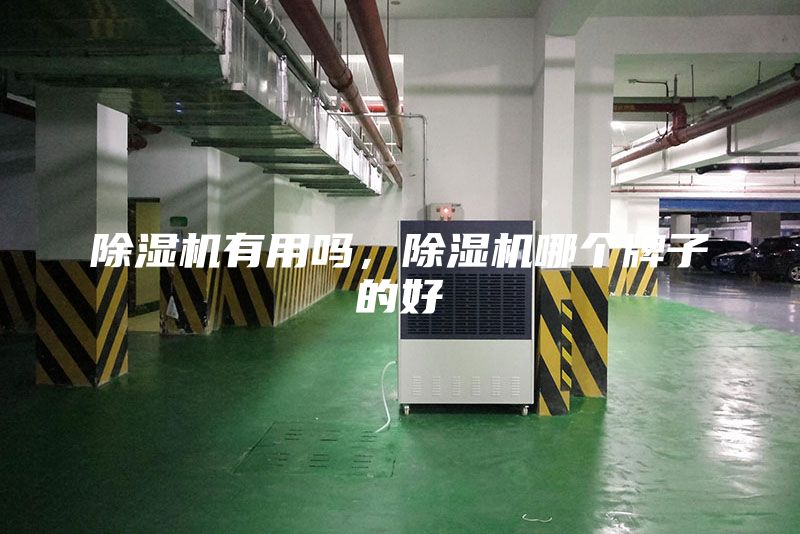 除濕機有用嗎,除濕機哪個牌子的好