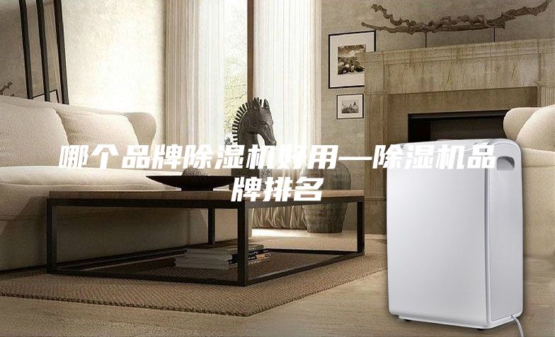 哪個品牌除濕機好用—除濕機品牌排名