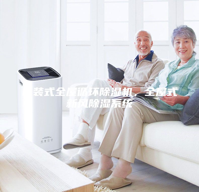 吊裝式全屋循環除濕機,全屋式新風除濕系統