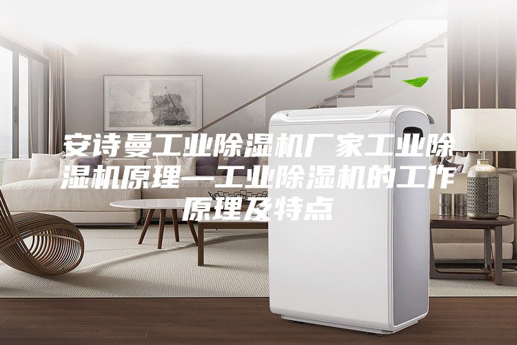 安詩曼工業除濕機廠家工業除濕機原理—工業除濕機的工作原理及特點