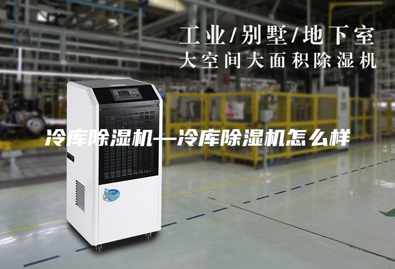 冷庫(kù)除濕機(jī)—冷庫(kù)除濕機(jī)怎么樣