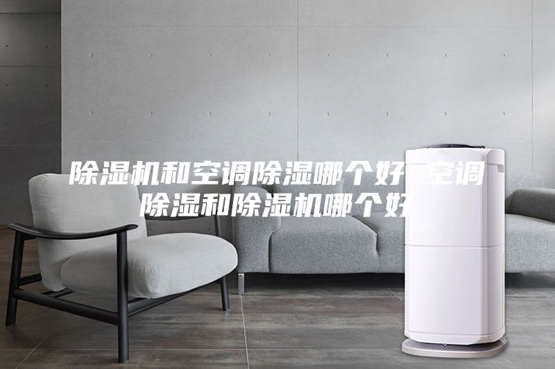 除濕機(jī)和空調(diào)除濕哪個好 空調(diào)除濕和除濕機(jī)哪個好