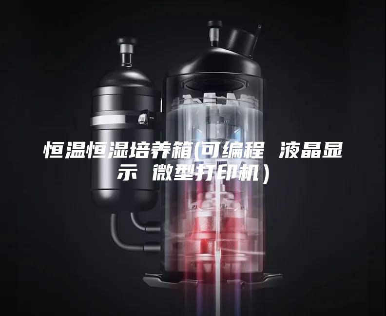 恒溫恒濕培養(yǎng)箱(可編程 液晶顯示 微型打印機(jī)）