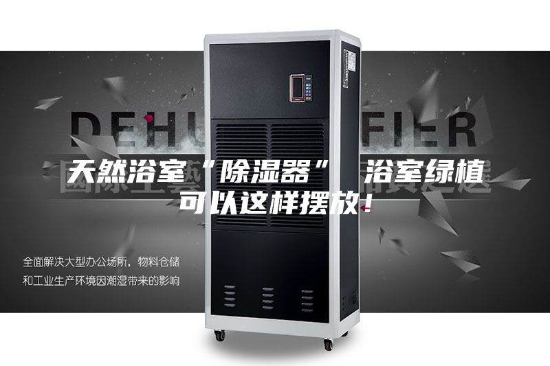 天然浴室“除濕器” 浴室綠植可以這樣擺放！