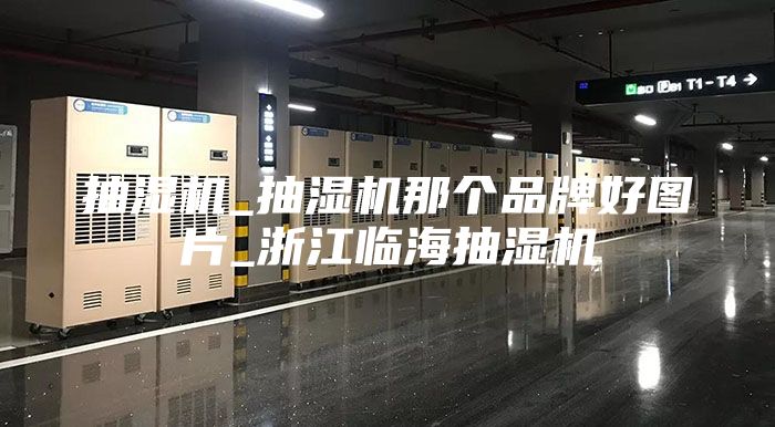 抽濕機(jī)_抽濕機(jī)那個品牌好圖片_浙江臨海抽濕機(jī)