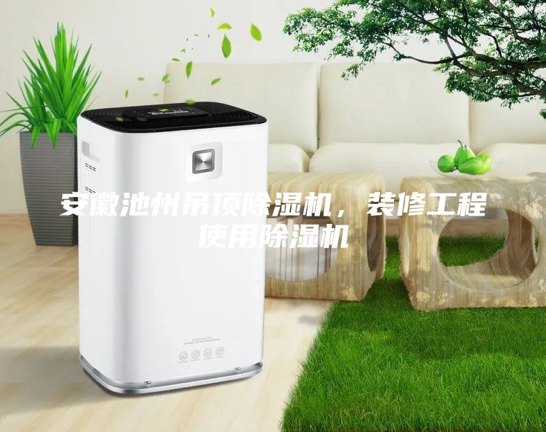 安徽池州吊頂除濕機，裝修工程使用除濕機