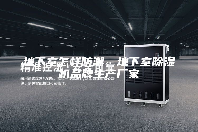 地下室怎樣防潮,地下室除濕機品牌生產廠家