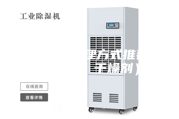 房間潮濕處理方式推薦（除濕機、干燥劑）