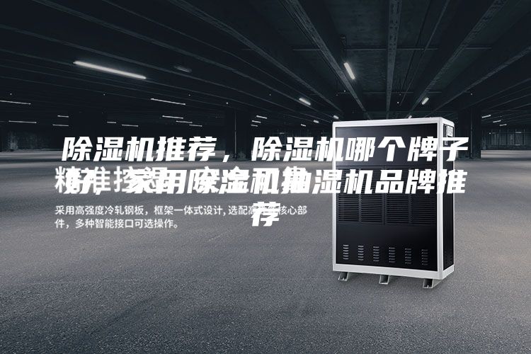 除濕機(jī)推薦，除濕機(jī)哪個(gè)牌子好, 家用除濕機(jī)抽濕機(jī)品牌推薦