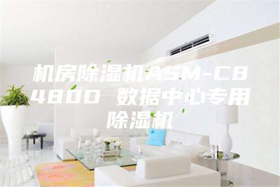 機(jī)房除濕機(jī)ASM-C8480D 數(shù)據(jù)中心專(zhuān)用除濕機(jī)
