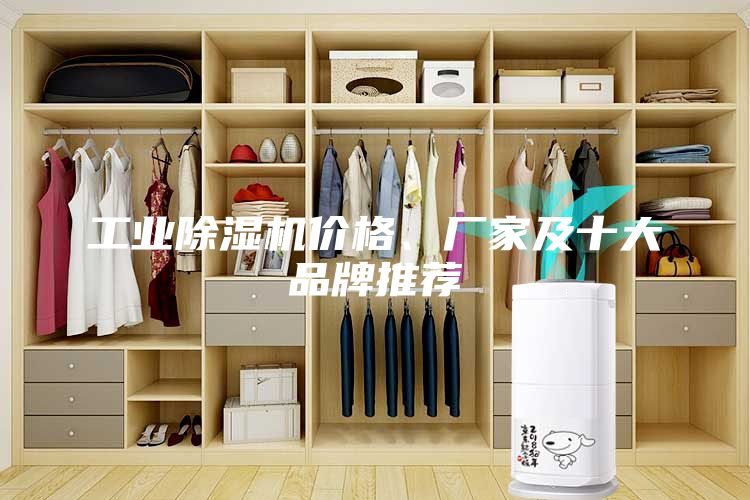 工業(yè)除濕機價格、廠家及十大品牌推薦