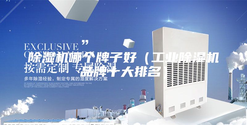 除濕機哪個牌子好(工業(yè)除濕機品牌十大排名)