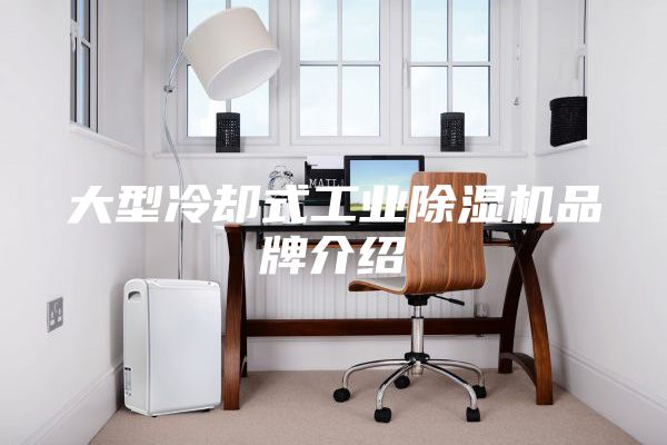 大型冷卻式工業(yè)除濕機品牌介紹