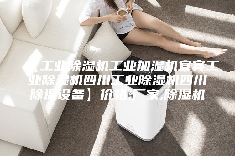 【工業(yè)除濕機(jī)工業(yè)加濕機(jī)宜賓工業(yè)除濕機(jī)四川工業(yè)除濕機(jī)四川除濕設(shè)備】?jī)r(jià)格,廠家,除濕機(jī)