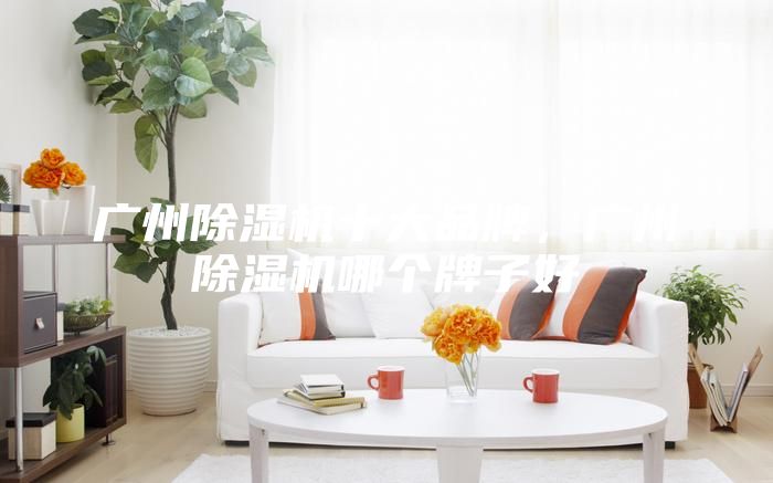 廣州除濕機十大品牌,廣州除濕機哪個牌子好