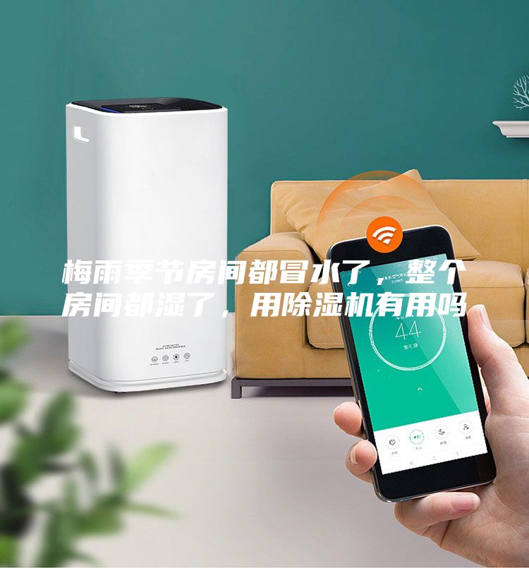 梅雨季節(jié)房間都冒水了,整個(gè)房間都濕了,用除濕機(jī)有用嗎
