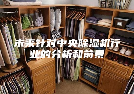 未來針對(duì)中央除濕機(jī)行業(yè)的分析和前景
