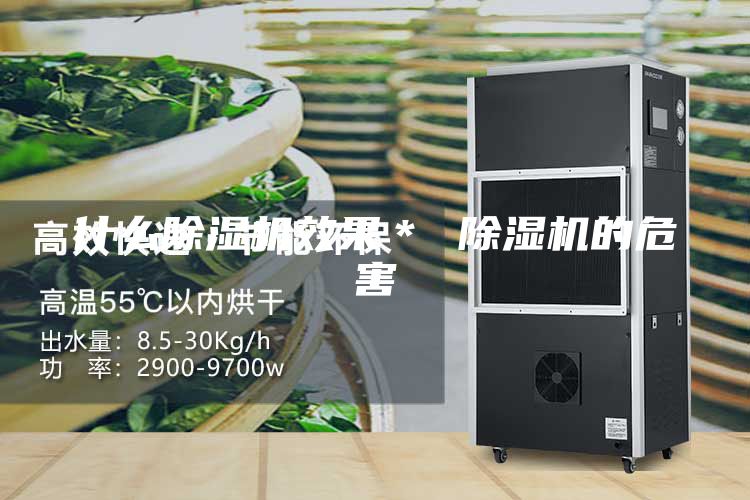 什么除濕機效果* 除濕機的危害