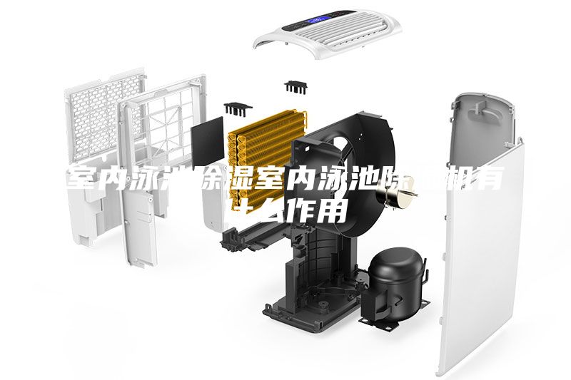 室內(nèi)泳池除濕室內(nèi)泳池除濕機(jī)有什么作用