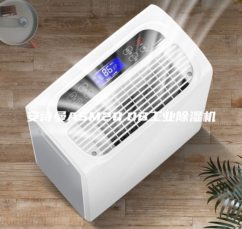 安詩曼ASM20.0B工業(yè)除濕機(jī)