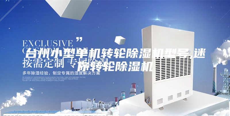 臺州小型單機轉輪除濕機型號,迷你轉輪除濕機