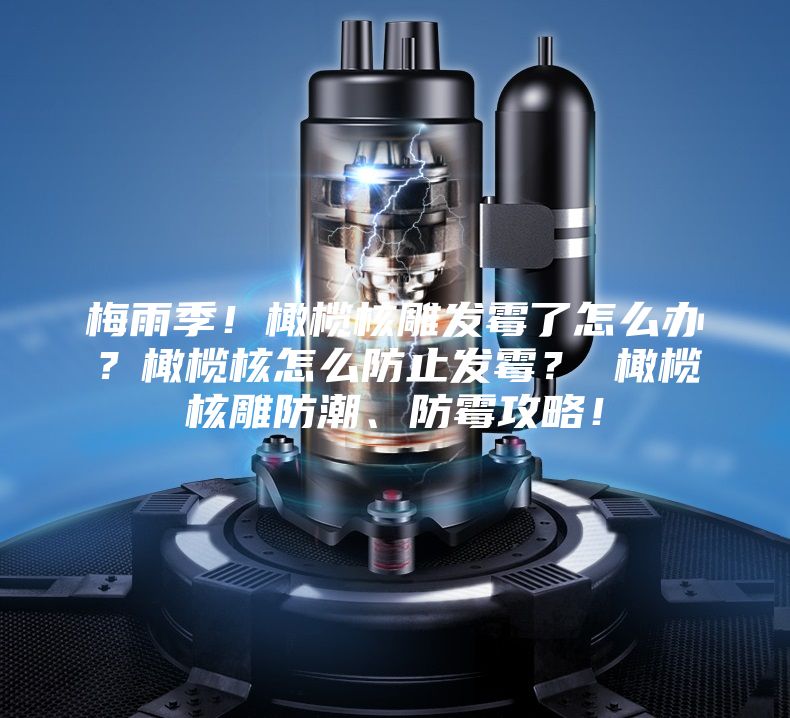 梅雨季！橄欖核雕發霉了怎么辦？橄欖核怎么防止發霉？ 橄欖核雕防潮、防霉攻略！