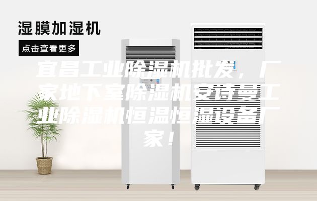 宜昌工業除濕機批發，廠家地下室除濕機安詩曼工業除濕機恒溫恒濕設備廠家！