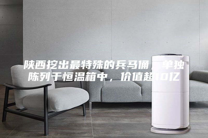 陜西挖出最特殊的兵馬俑，單獨陳列于恒溫箱中，價值超10億