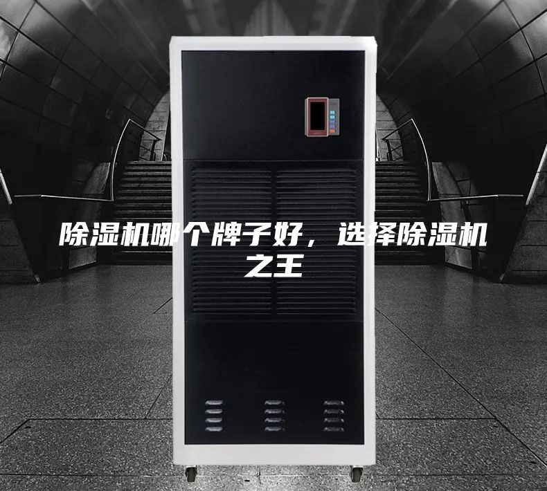 除濕機哪個牌子好，選擇除濕機之王