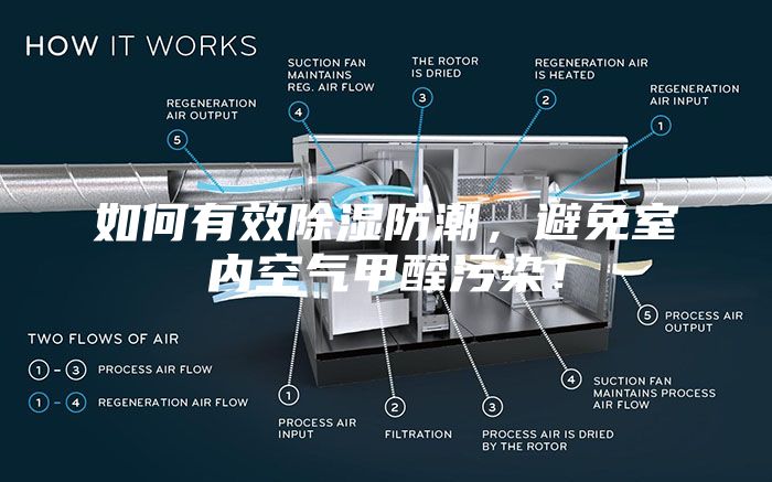如何有效除濕防潮，避免室內空氣甲醛污染！